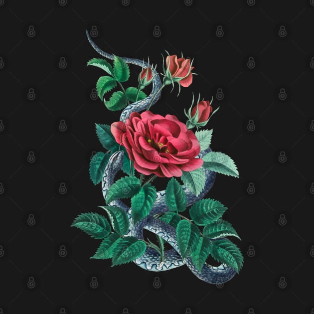 Red rose and blue snake by CatyArte