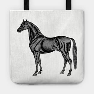 Beautiful Black Race Horse Tote