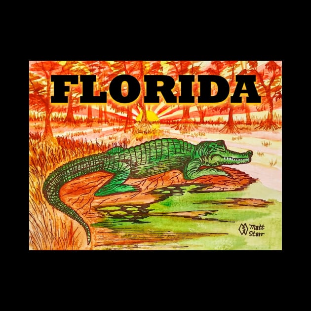 Florida alligator by Matt Starr Fine Art