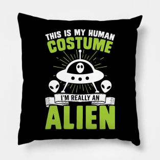 This is my human costume, I'm really an alien Pillow