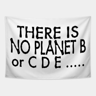 There is No Planet B or C D E ..... Tapestry