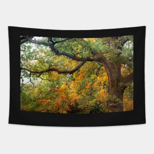 Autumn Warmth Tapestry