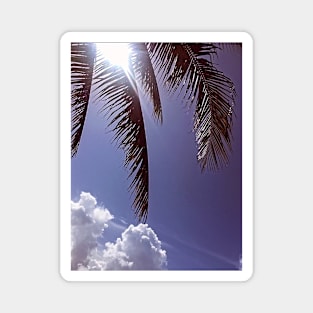 Palm Tree Leaves Magnet