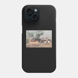 De Fassa Waterbuck, Lake Nakuru, Kenya Phone Case