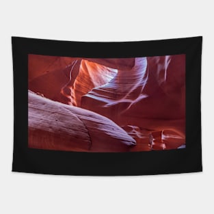 Canyon Sandstone Tapestry