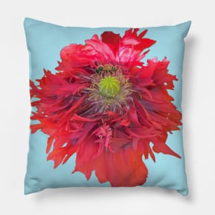 Peony Poppy with Bee Pillow