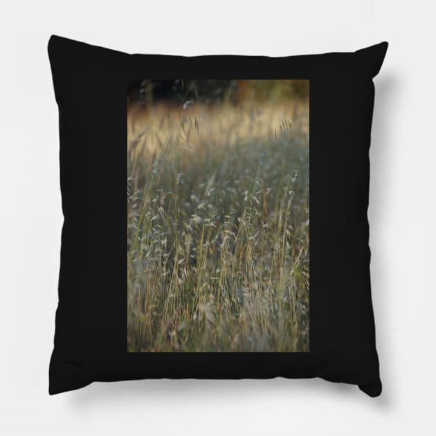 Summer Grass - Adelaide Hills - Fleurieu Peninsula - South Australia Pillow by MagpieSprings