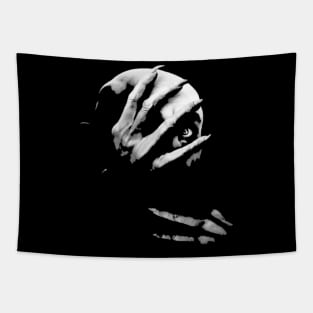 🧛 Nosferatu - Robert Eggers 🧛 Tapestry