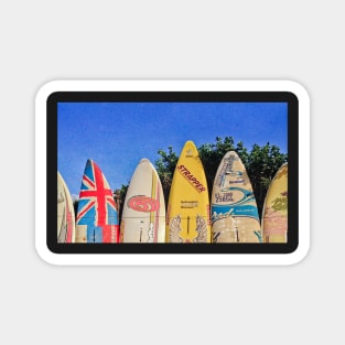 Hawaiian Surf Fence Magnet