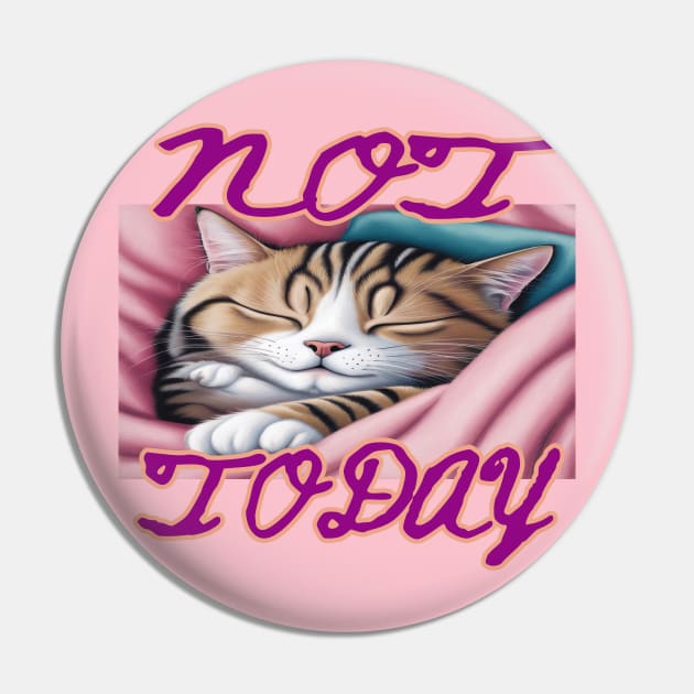 Not Today Cat Pin by EunsooLee