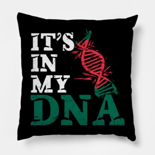 It's in my DNA - Blangladesh Pillow