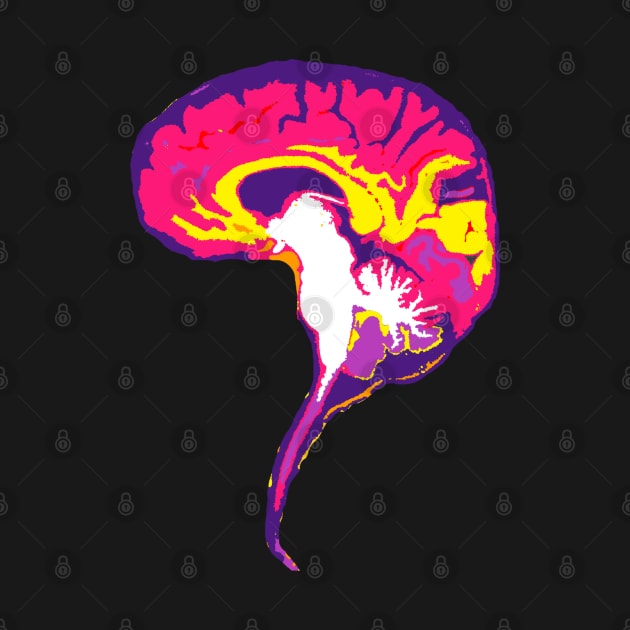Brain with Brainstem in Vibrant Colors by VegShop