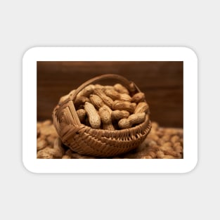 Dried whole peanuts Magnet