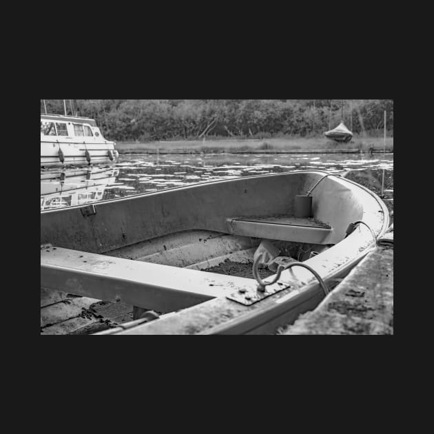 A view over the River Ant from a small rowing boat by yackers1