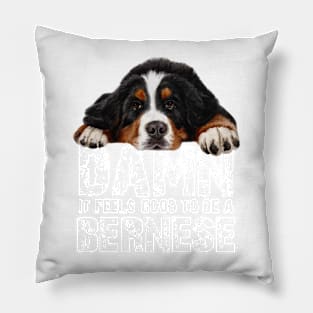 Bernese mountain dkg Pillow