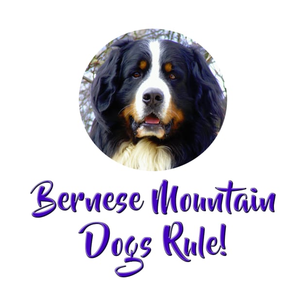 Bernese Mountain Dogs Rule! by Naves