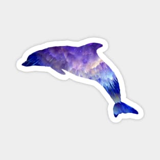 Space Dolphin Magnet