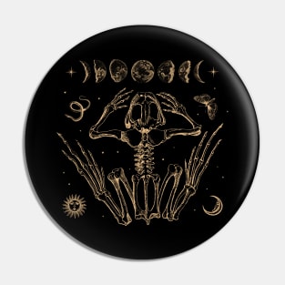 Enchanting Emo Occult: Goblincore Aesthetic Meets Dark Academia - Vintage Frog Skeleton, Moth, Moon Phases, and Toad Art Pin