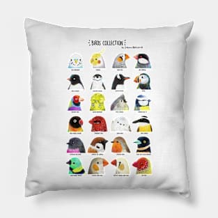 Birds Collection - version in black letters Pillow