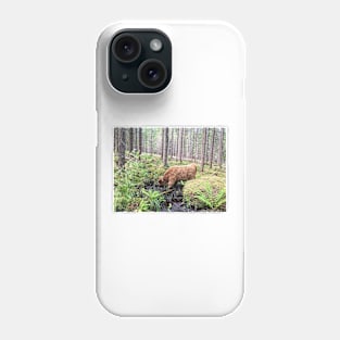 Scottish Highland Cattle Calf 1800 Phone Case