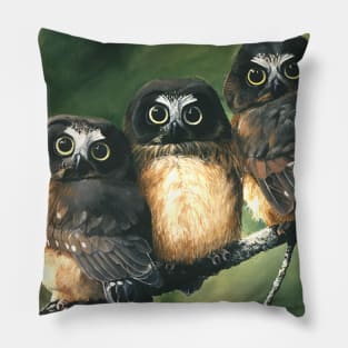 Saw Whet Owls Pillow