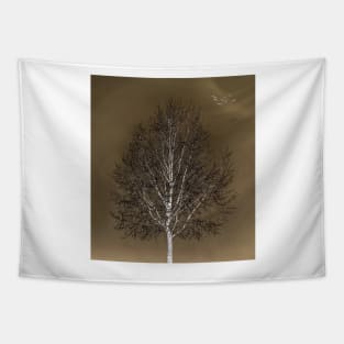 Winter Tree In Muted Tones Tapestry