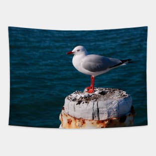 Seagull in the Sunlight Tapestry