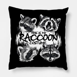 This is My Raccoon Costume Funny Raccoon Street Cats Trash Pillow