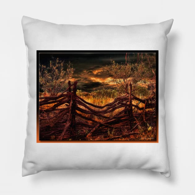 The Fence Pillow by rgerhard