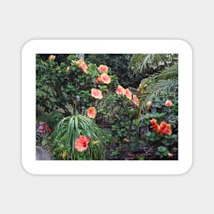 Jungle Garden Magnet