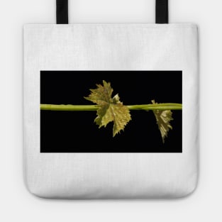 Vine Leaf on black background by Avril Thomas Tote