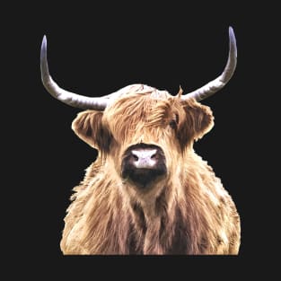 Highland Cow T-Shirt