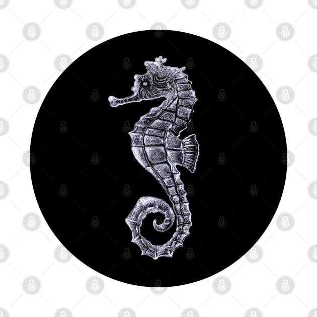 Silver Seahorse on Black by Neginmf