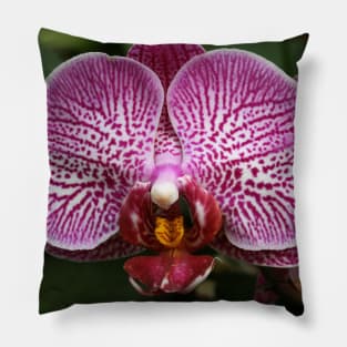 Purple Orchid Pillow