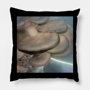 Oyster Mushroom Cluster #2 Pillow