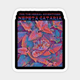 Cats on Catnip-psychedelic Magnet