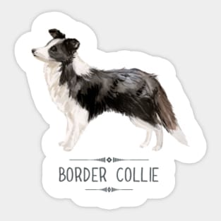 Cute dog border collie mexico cinco de mayo t shirt - Dog Border Collie  Mexico Cinco De Mayo - Sticker