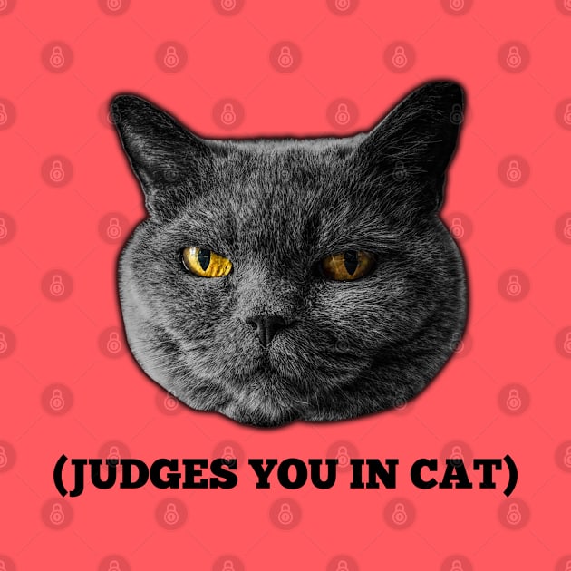 Judges You in Cat by chilangopride
