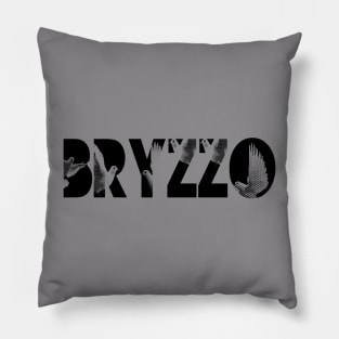 BRYZZO Pillow