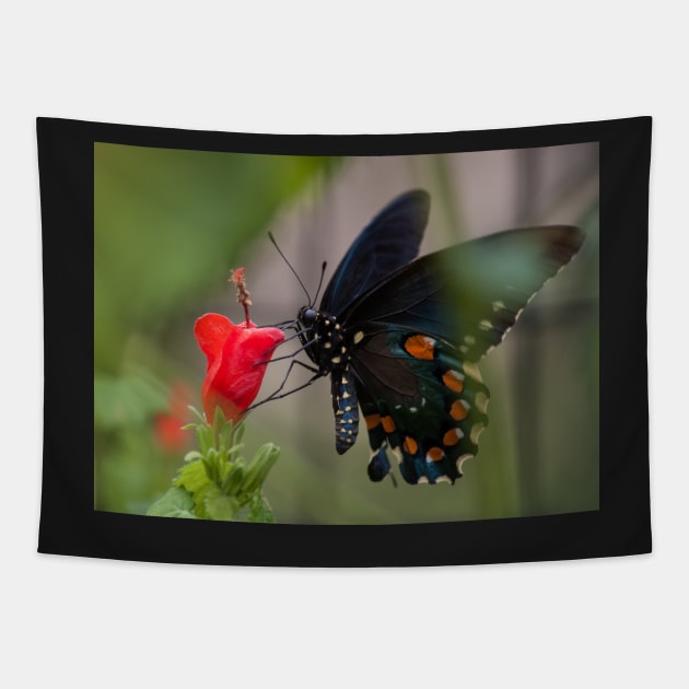 Swallowtail Tapestry by Jacquelie