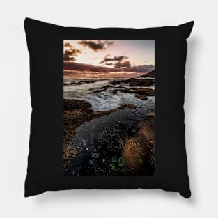 Oregon Tide Pools Pillow