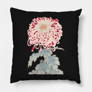 Pink Chrysanthemum 4 - Hasegawa - Traditional Japanese style - Botanical Illustration Pillow