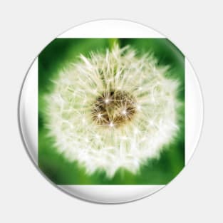 Dandelion Sparkle Pin