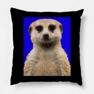 meerkat Pillow