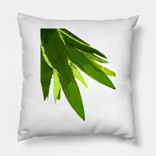 PALM LEAF GEEN TROPICAL ISLAND FOILAGE Pillow