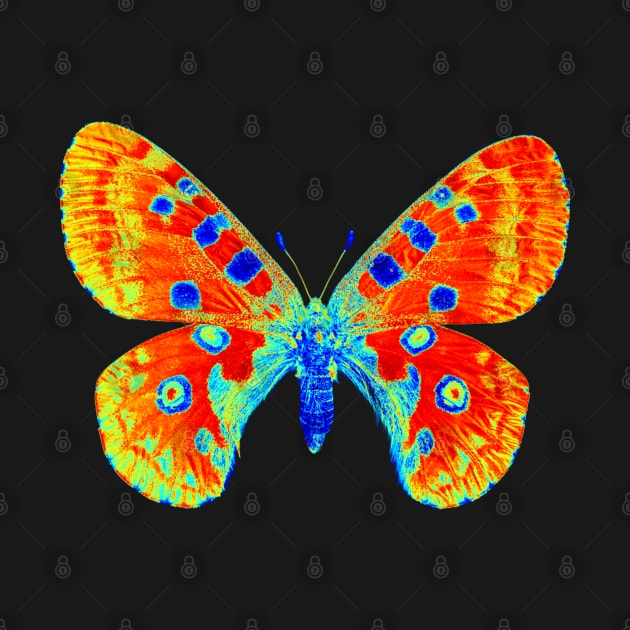 Butterfly Heatmap by Daz Art & Designs