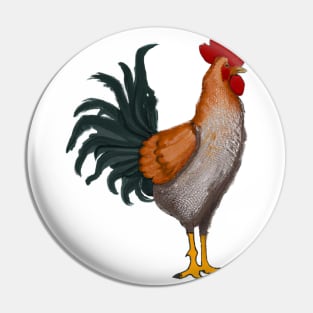 Cute Rooster Drawing Pin