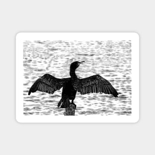 Great cormorant Magnet