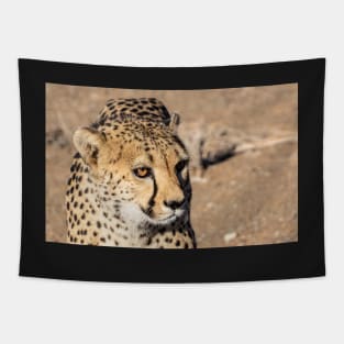 Cheetah. Tapestry