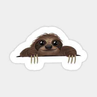 Pocket Sloth Magnet